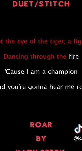 Roar by Katy Perry Karaoke Duet/Stitch