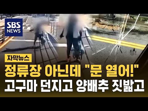 정류장 아닌데 "문 열어!"…고구마 던지고 양배추 짓밟고 (자막뉴스) / SBS
