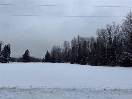 8 76 Acres On Fadness Rd, Winter, WI 54896 - MLS 6122402 - Coldwell Banker