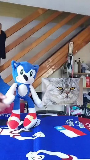 Sonic the Hedgehog Plush Toy Interactive Video