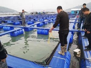 [Hot Item] Fish Farm Cage with Fishing Cage Bouy and Pontoon