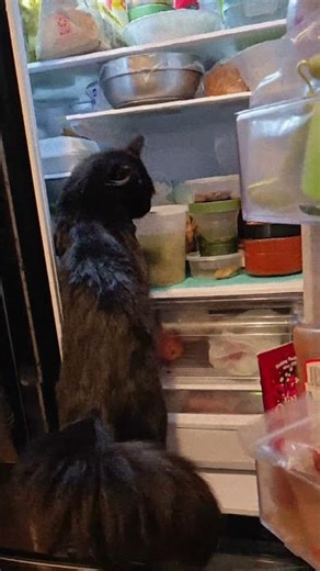 so hungry 😫 let's see what do I want to eat today😊😊