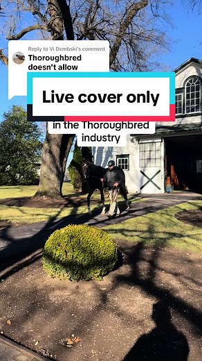 Live Cover Horse Breeding in the Thoroughbred Industry