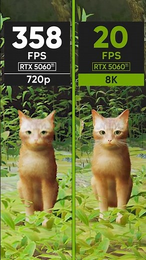 Stray vs RTX 5060Ti – 720p vs 8K Resolution Performance Test!