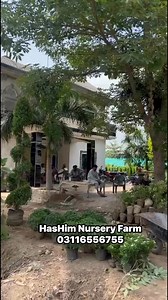 172 reactions · 10 comments | @03116556755 #landscaping #islambad #landscaping | Hashim Nursery Farm | Facebook