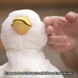 3K reactions · 518 shares | My Special Aflac Duck® is a free-of-charge resource that helps children prepare for medical procedures, communicate their feelings, practice distraction techniques and much more. | Aflac | Facebook