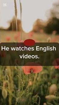 📖 Listen to “A New Beginning” Story & Learn English Vocabulary. #englishforbeginners #LifeSpark