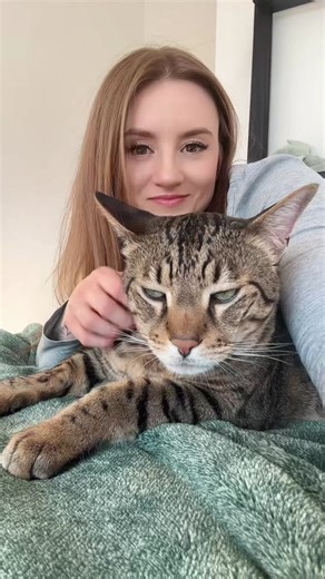 Discover the Joy of Loving Your Feline Friend