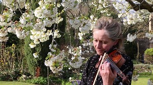 Academy violinist Catherine Morgan performs the opening bars of Vaughan Williams' The Lark Ascending, much to the enjoyment of her four-legged friend and posted this evening in tribute to Monty Don's Nigel. | Academy of St Martin in the Fields