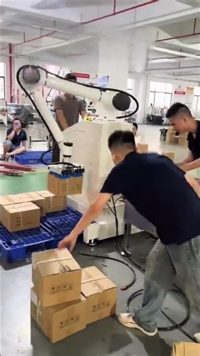 Dual Pallet Collaborative Palletizer | One Robot Serving Two Production Lines #palletizing #machine