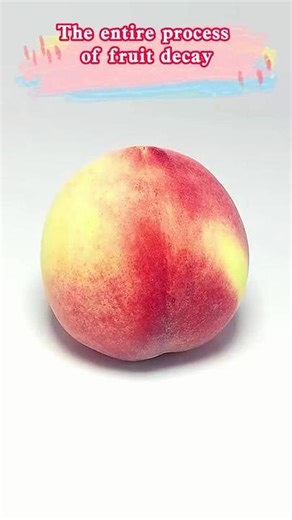 Decay Process of Peaches