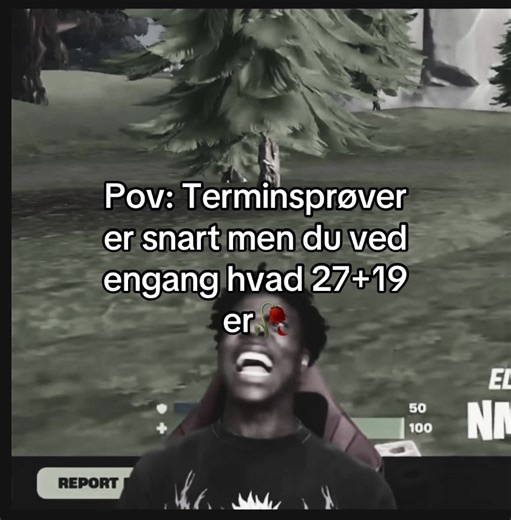 Understanding Terminsprøver and Math Challenges