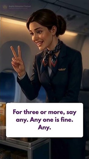 Plane Conversation Breaks Down Either vs Any Fast #englishconversation #learnenglish #tips