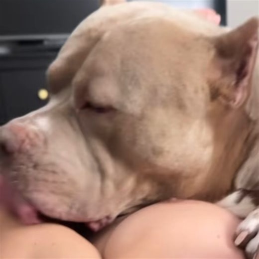 Samuel Langhorne Clemens on Instagram: "#POV,#Reaction,#Challenge,#Shorts,#Skit,#Aesthetic,#fyp,#Viral,#Trending,#Explore,#POV,#Storytime,#GRWM,#ASMR,#Edutainment,#LifeHack,#Lifestyle,#Challenge,#BTS,#Unboxing,#Tutorial,#Haul,#Motivation,#Relatable,#GlowUp,#DeepDive,#VlogDeNicho,#viral,#tren,#trens"