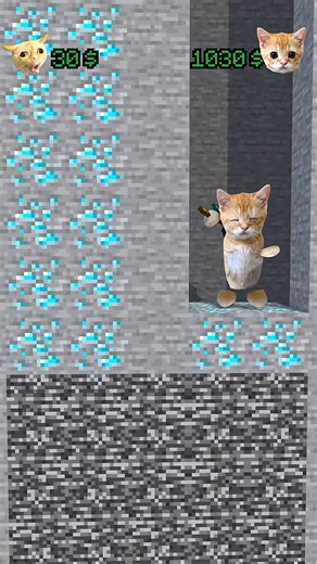 Mining Cats😎 | Cash Gaming
