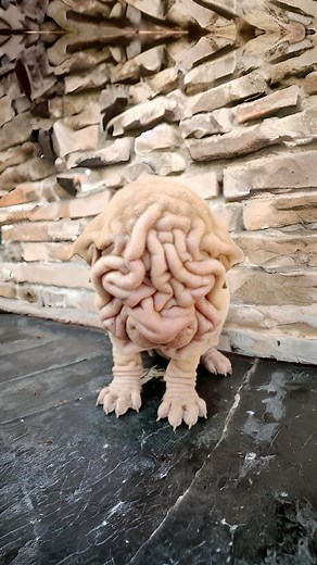 424K views · 8.4K reactions | 10 Dog Breeds That Have the Worst Health Issues! ⚠️ | 1 Minute Animals | Facebook