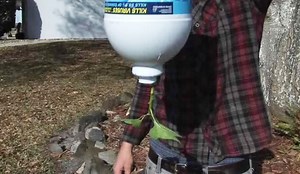 How to Grow Vegetables Upside Down