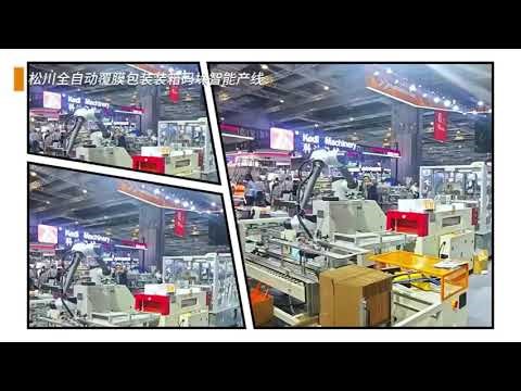 Film-to-Pallet Packaging Line | Fully Automated Shrink Wrapping & Palletizing Solution