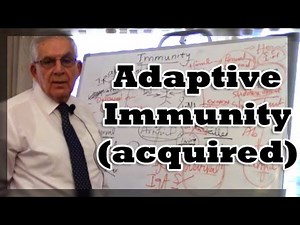Adaptive Immunity (acquired)