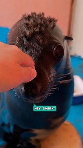 Look like a trendy dude 😂 | Furry Tails