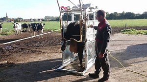 The WOPA SA0038 hoof trimming crush is equipped with 6 doors. This way you are able to treat the cow from all sides. For example: - Dry cow therapy - Shaving - Insemination - Vaccinations - Caesarean section The SA0038 provides a safe environment for when you are working with the cow. With the SA0038 these actions can be performed in the best possible way and there is no barrier for the farmer to do it himself! WOPA has introduced an new W-Bar for the SA0038. Safety for people and animals is now