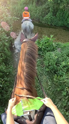 Cantering Through a River: Equestrian Adventures