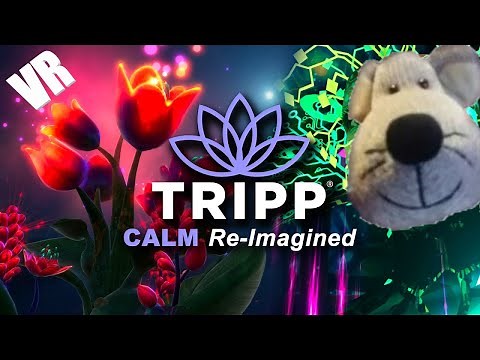 TRIPP VR is Visually Jaw-Dropping 🤩