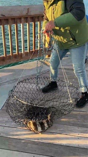 44 second catch and cook #sheepshead #fypシ #saltwaterfishing