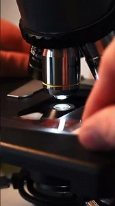 Finger Blood Under Microscope | Amazing Microscopic View #Microscope #BloodCells #ScienceExperiment