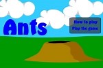 Play Ants | Free Online  Games. KidzSearch.com