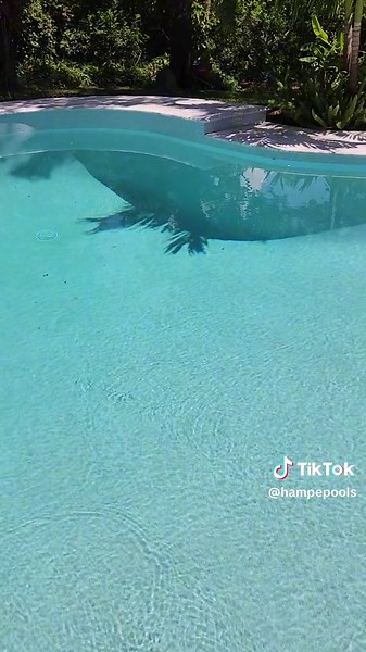 The renovation to this 30 year old pool and deck turned out spectacular.... #pool #deck #renovation #remodel #poolrenovation #poolremodel #restoration #backyard #marble #custom #stonework #hardscape #swimmingpool #contractor #poolcontractor #contractorlife #tampa #stpete #clearwater #florida