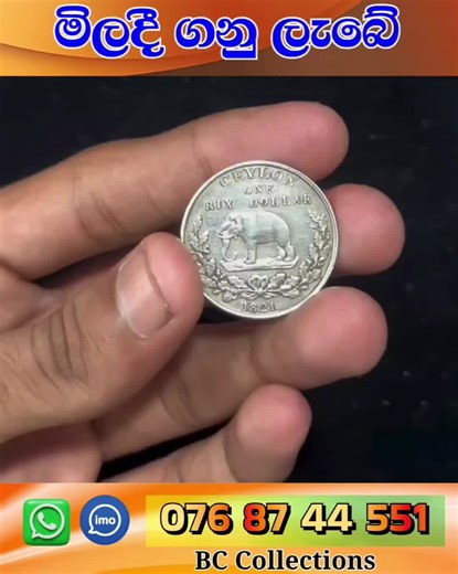 Exploring BC Collections: A Coin Collector's Treasure