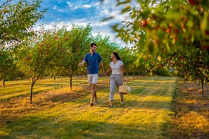 Plan - Destination Sturgeon Bay