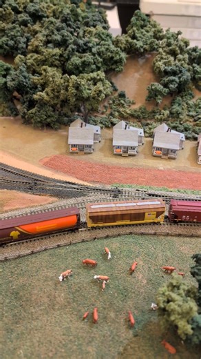 N Scale Weathered Chessie Train