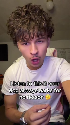 Listen to this if your dog barks to much 🤔💔#fyp #bloodyylive #streamer #trending #funny