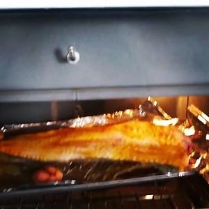 4 comments | ⚠️ DANGER! Exorcist Fish  Sighting⚠️ Have you ever had...