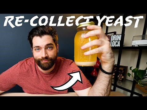 Reusing Yeast for Brewing - YEAST WASHING