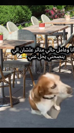 #ضحك #foryou #الشعب_الصيني_ماله_حل😂😂 #fyppppppppppppppppppppppp #ترند