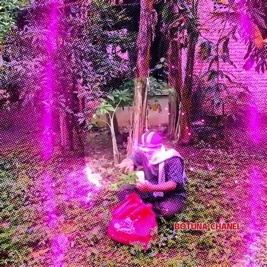 Dukun Cobal Cabul #bestfunny #trendingvideo #jangkauanluas #reelsfbpro #botunachanel