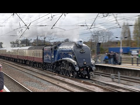 LNER A4 60007 Sir Nigel Gresley & LMS Black 5 44871 charge up the ECML to York - 16.11.24