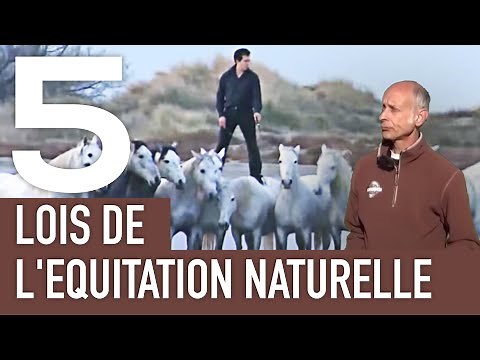 Les 5 lois de l'Equitation Naturelle