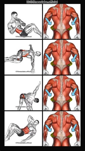 ✅ Exercises to Burn Love Handles ① Russian Twist ② Half Wipers ③ Windmills ④ Oblique Crunch 3 sets 15-20 reps #fitness #gym #exercise #workout #workoutroutine #exercisetips #fitnesstips #bodybuilding #abs #absworkout | Banksy