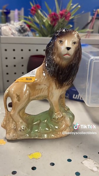 Exploring Goodwill: My Thrift Store Adventure