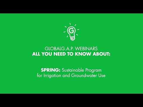 All you need to know about SPRING