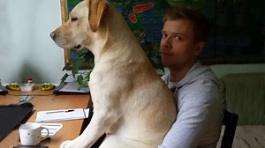 When your dog acts like a baby and it’s hilarious