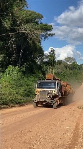 Old beat out logging truck still going strong 💪 #automobile