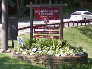 Cold Spring Harbor Laboratory Awarded $750K Grant From TD Bank