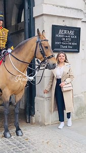 34K views · 7.7K reactions | Polite tourist at horse guard , asking...