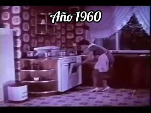 evolución del osito Bimbo 1960-2021 comerciales