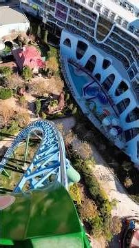 Wolds Wery Fast Roller Coaster